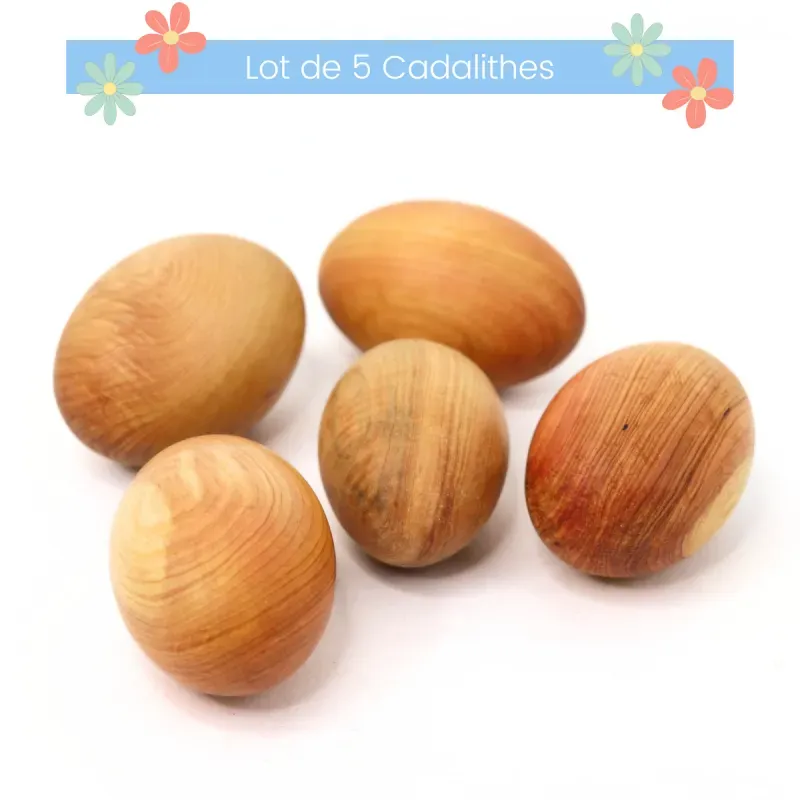 Ambiance Cade Cadalithe galet bois de cade sauvage lot de 5