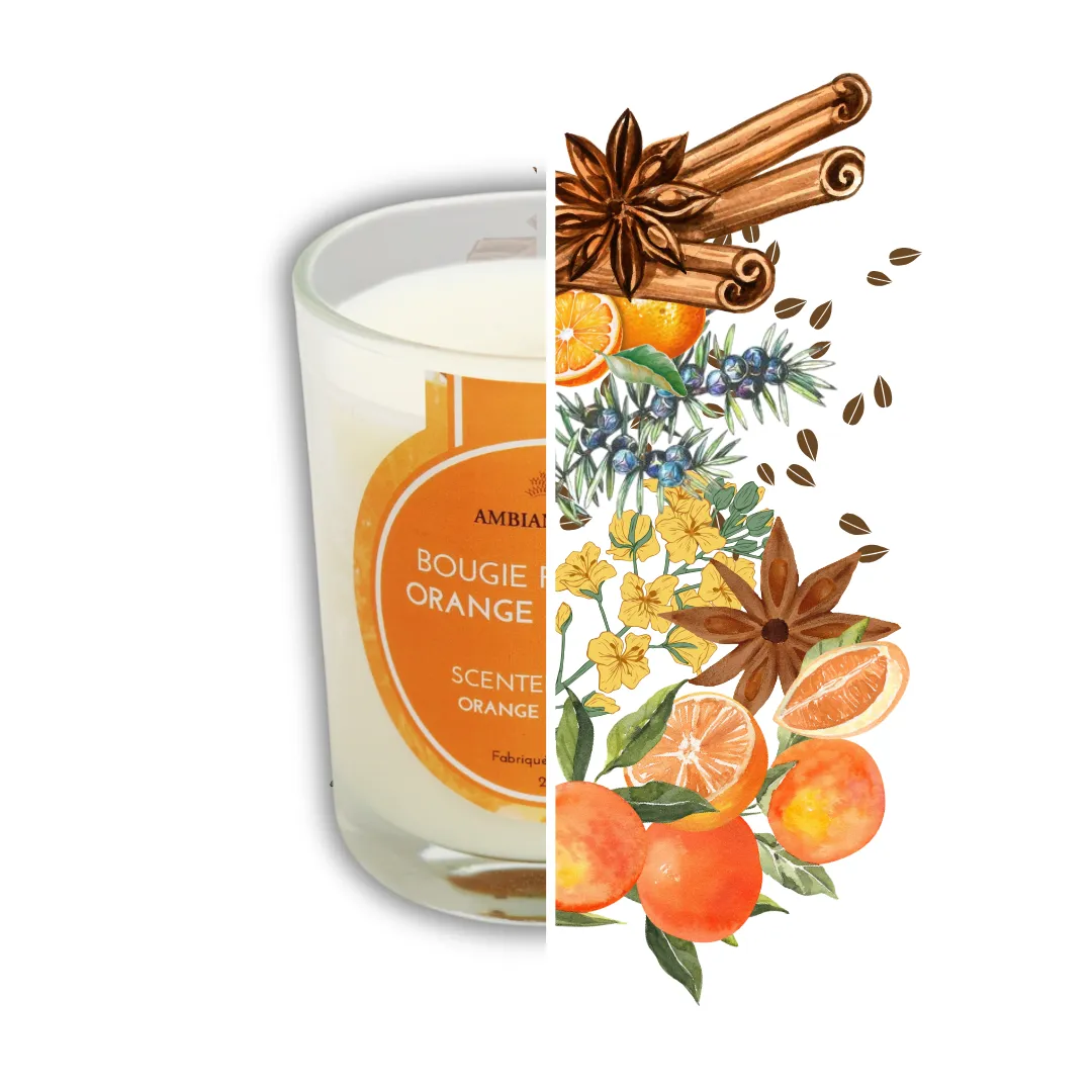 Ambiance Cade bougie parfumée orange-cannelle 180g 40h